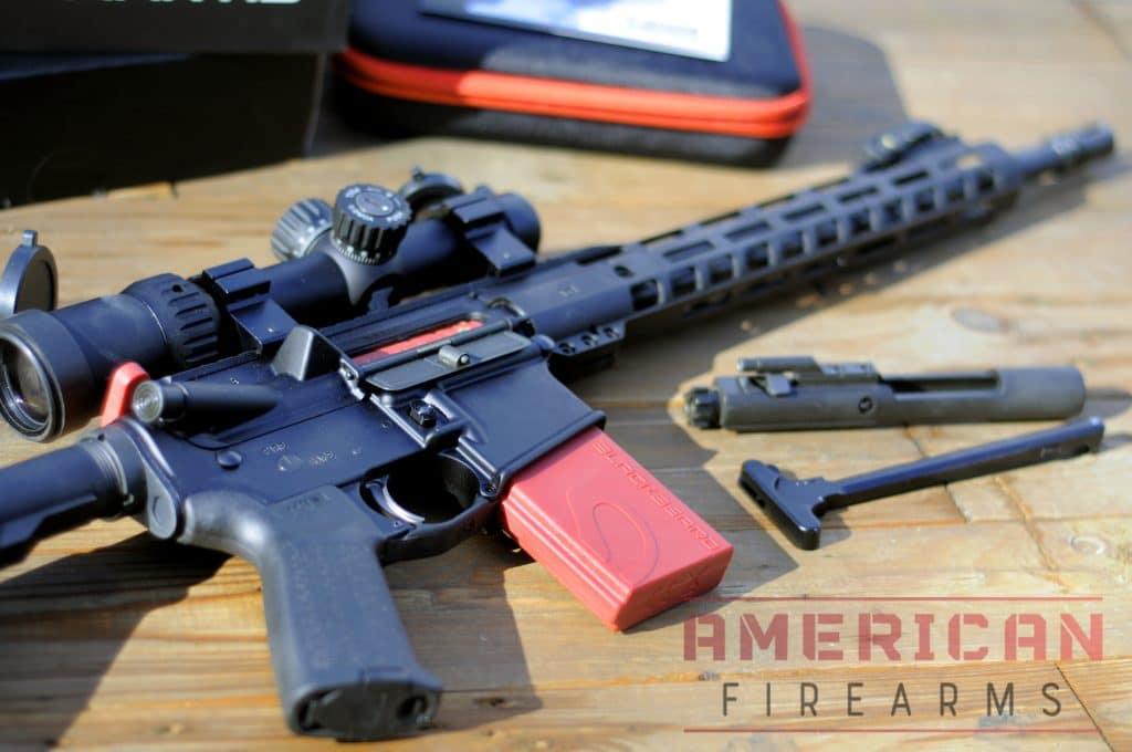 I find few things as entertaining as snapping around corners in my house with a laser gun.